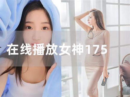 pppd138在线播放,畅享视听盛宴的全新体验