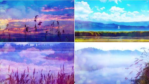 找歌舞视频,探寻热门歌舞视频的魅力之旅