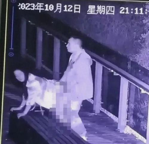 男女直接做的视频男女,男女互动瞬间，情感火花四溢