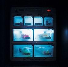 日本黄色动 漫av