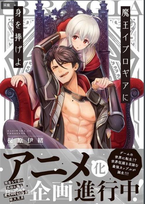 无翼鸟无码全彩无遮掩,一场视觉与想象的极致之旅