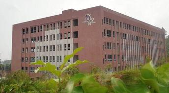 浏阳新弘学校爆料视频曝光,揭秘校园内幕