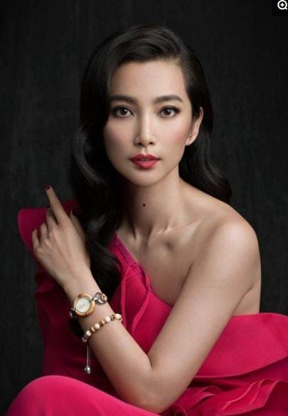 女明星李冰冰,璀璨星途与公益情怀的完美融合